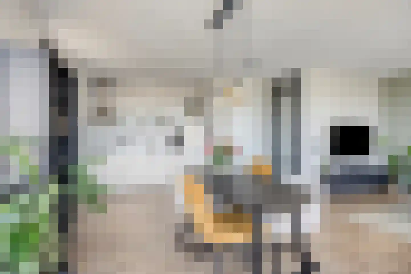 Kersenplukkerserf 38 Arnhem thumbnail 6