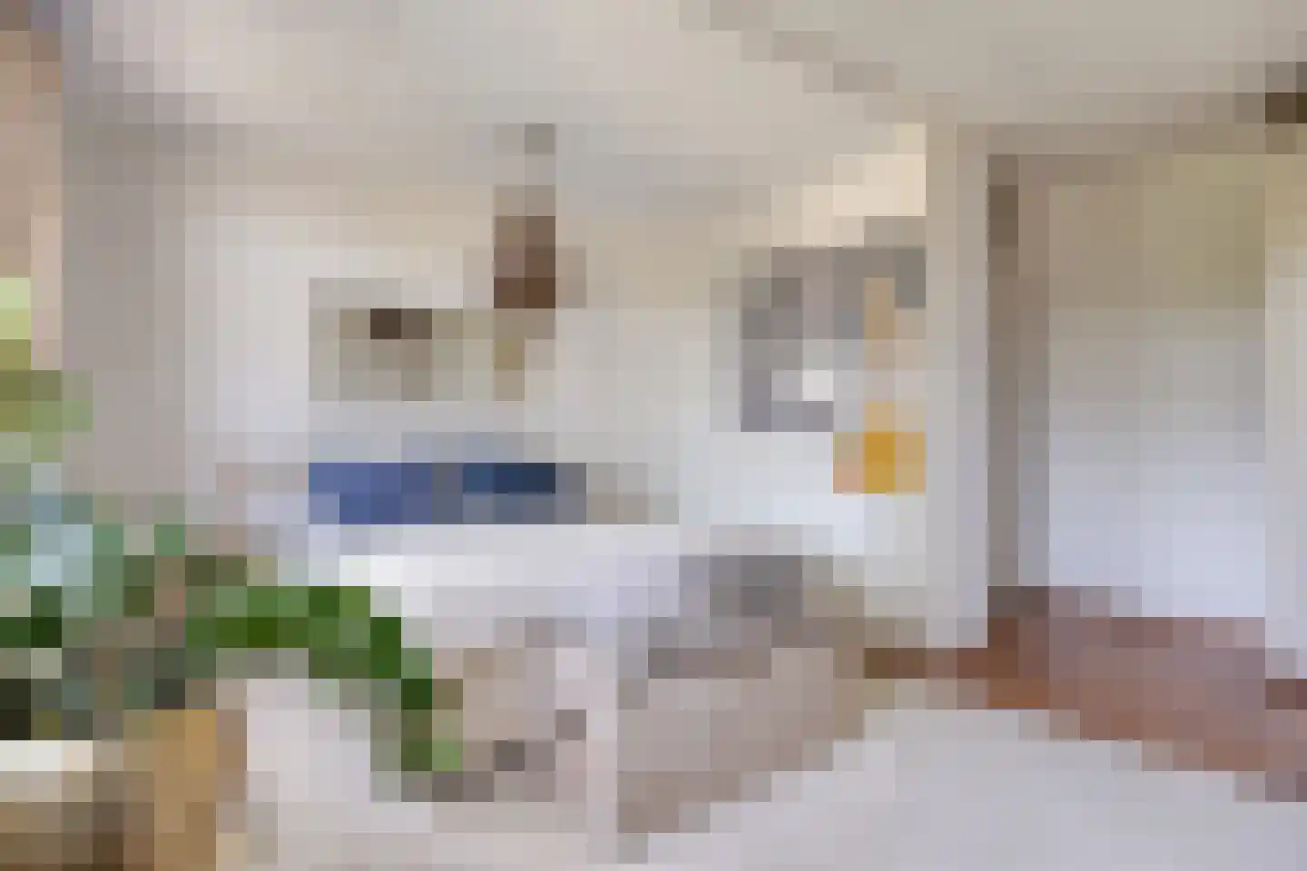 Kersentuin 11 Heerjansdam thumbnail 21