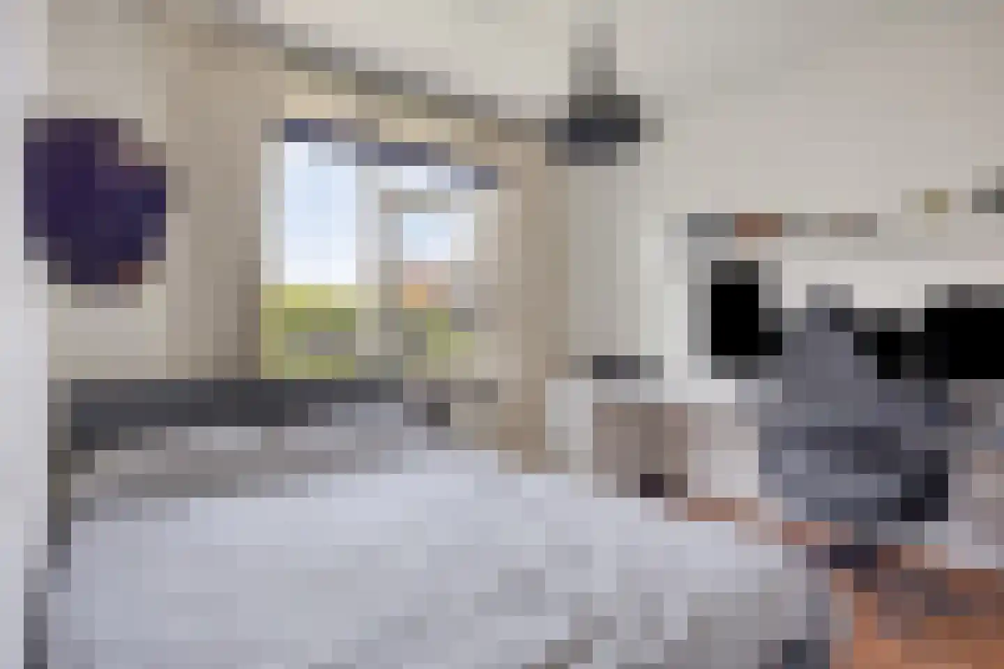 Kersentuin 11 Heerjansdam thumbnail 27