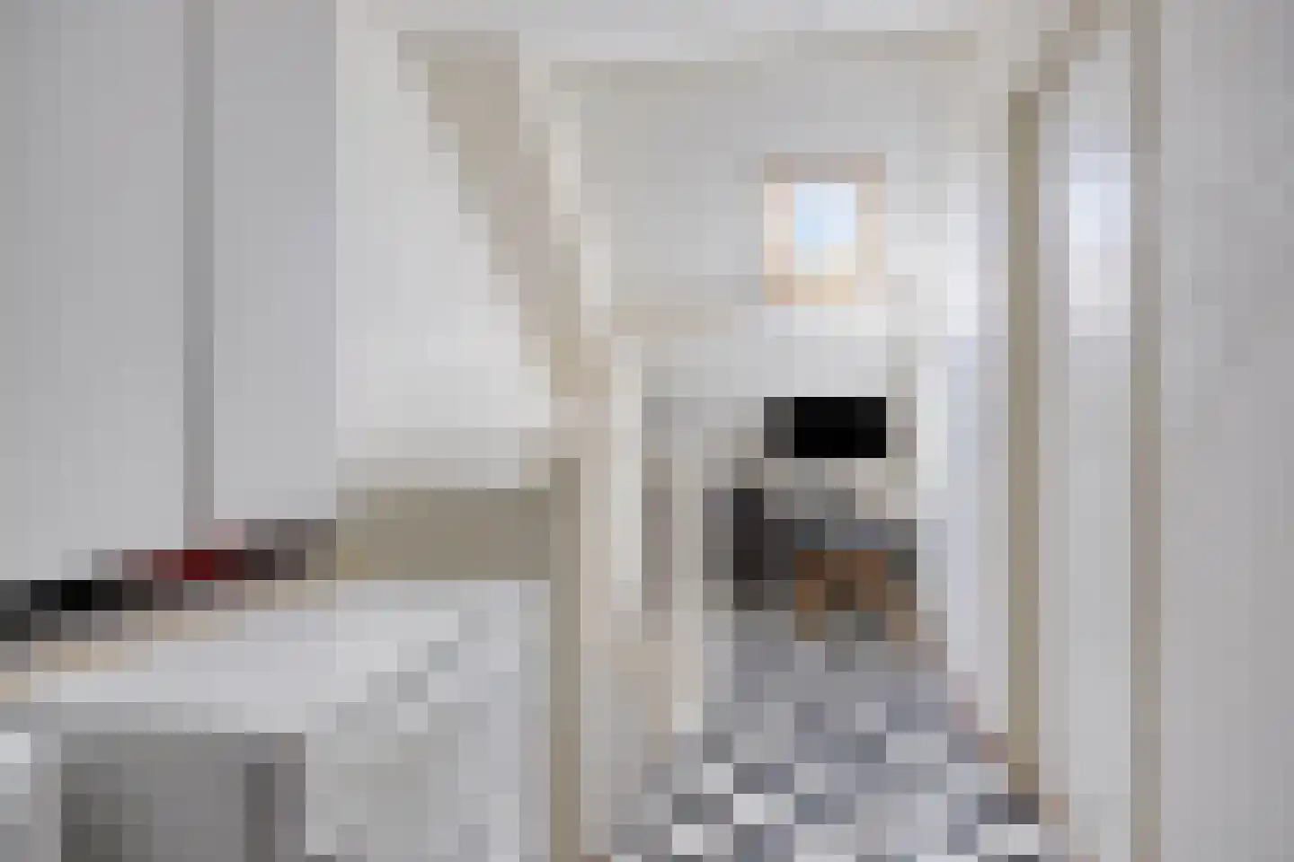 Kersentuin 11 Heerjansdam thumbnail 30