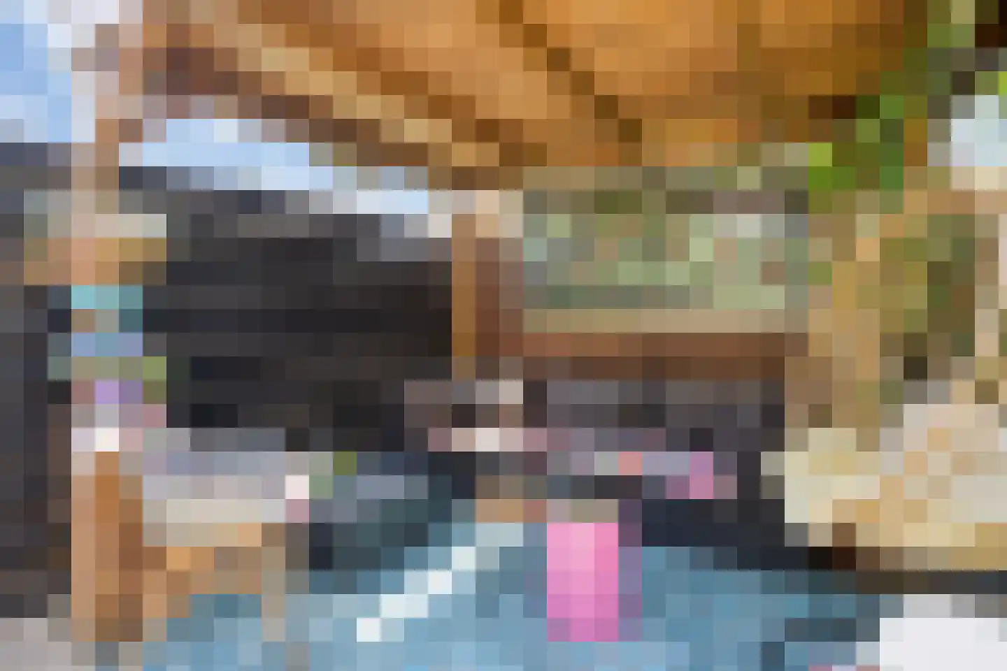 Kersentuin 11 Heerjansdam thumbnail 40