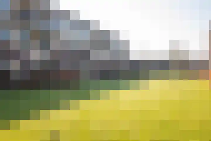 Kersentuin 39 Woudenberg thumbnail 34