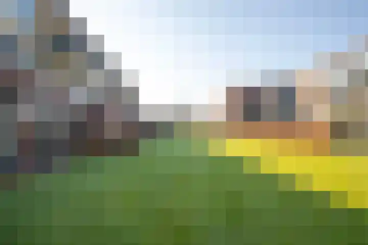 Kersentuin 39 Woudenberg thumbnail 35