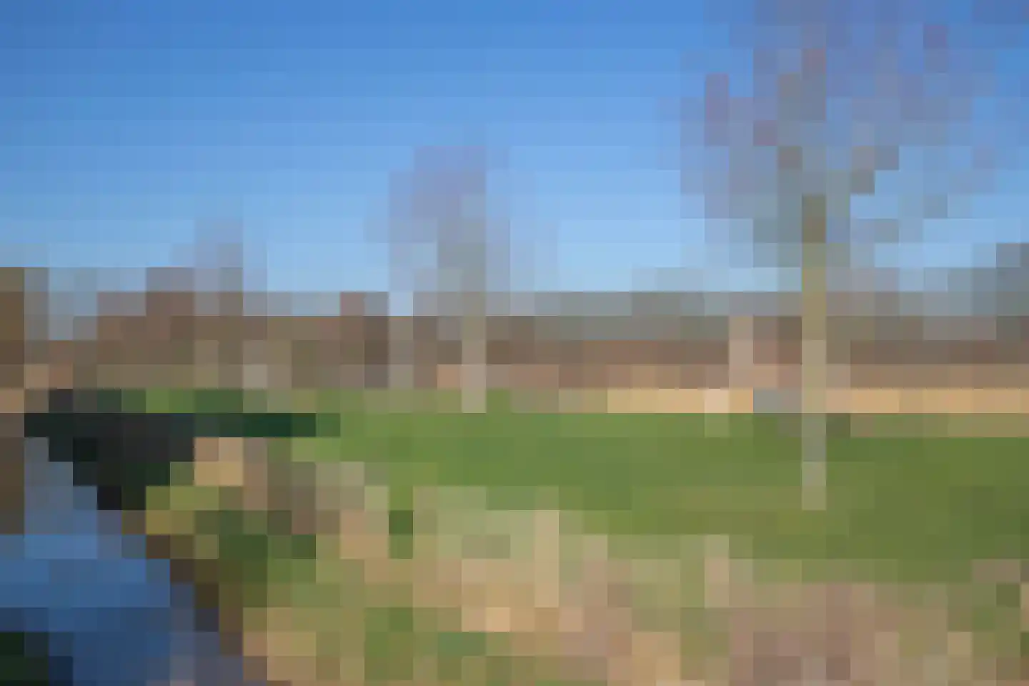 Kersentuin 39 Woudenberg thumbnail 38