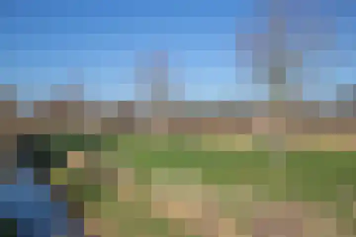 Kersentuin 39 Woudenberg thumbnail 38
