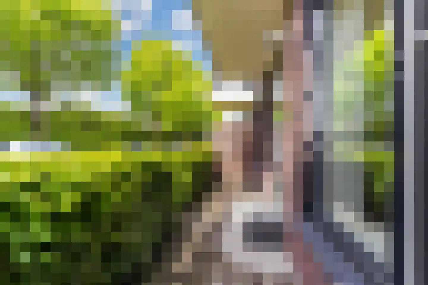 Kersentuin 51 Woudenberg thumbnail 25