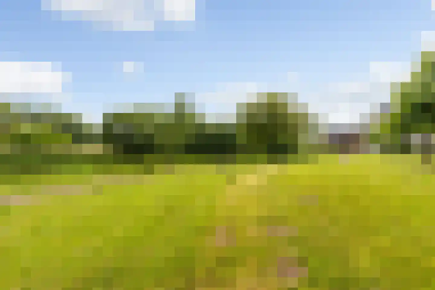Kersentuin 51 Woudenberg thumbnail 33