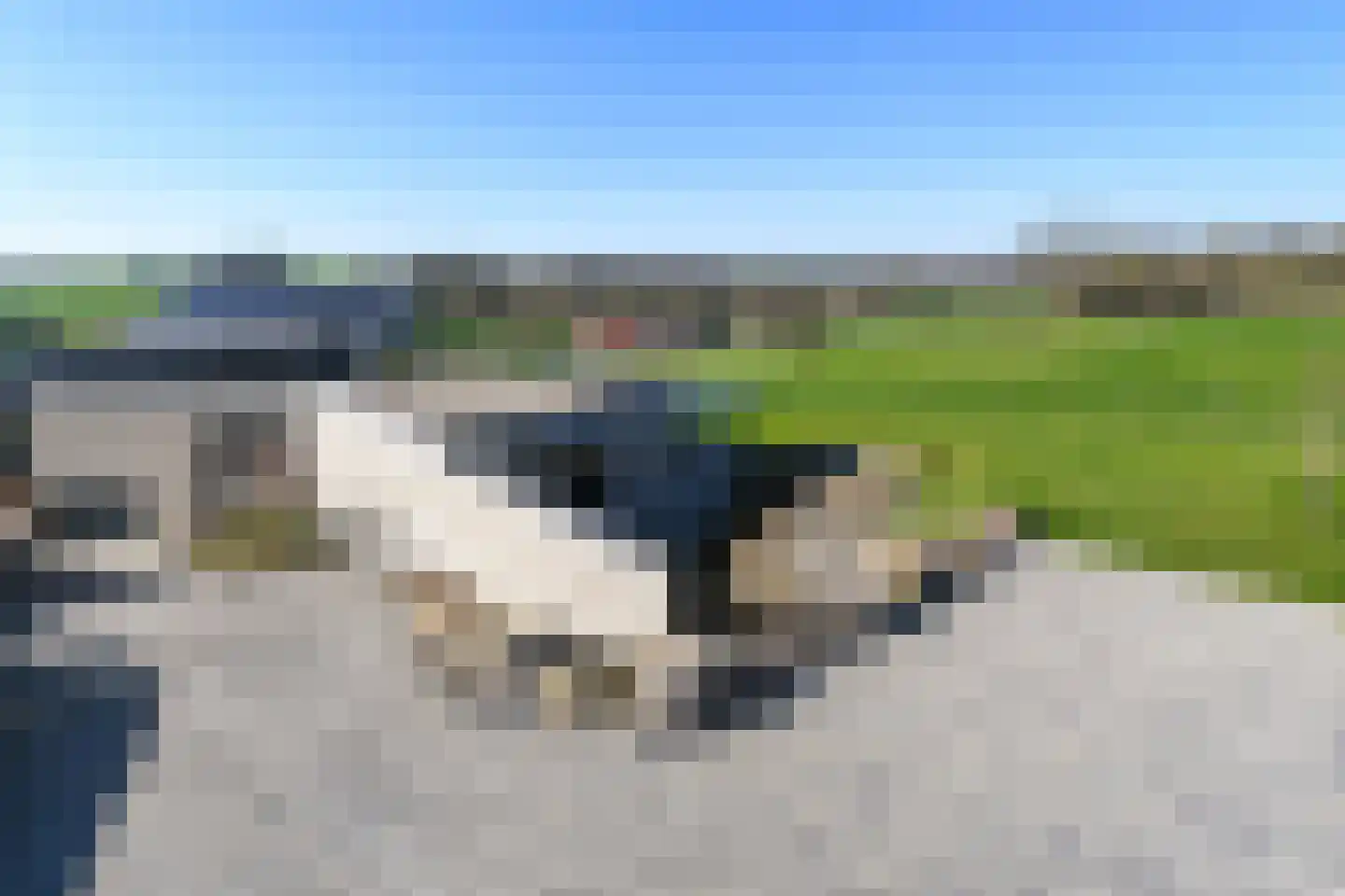Kersenweide 18 Wittem thumbnail 13