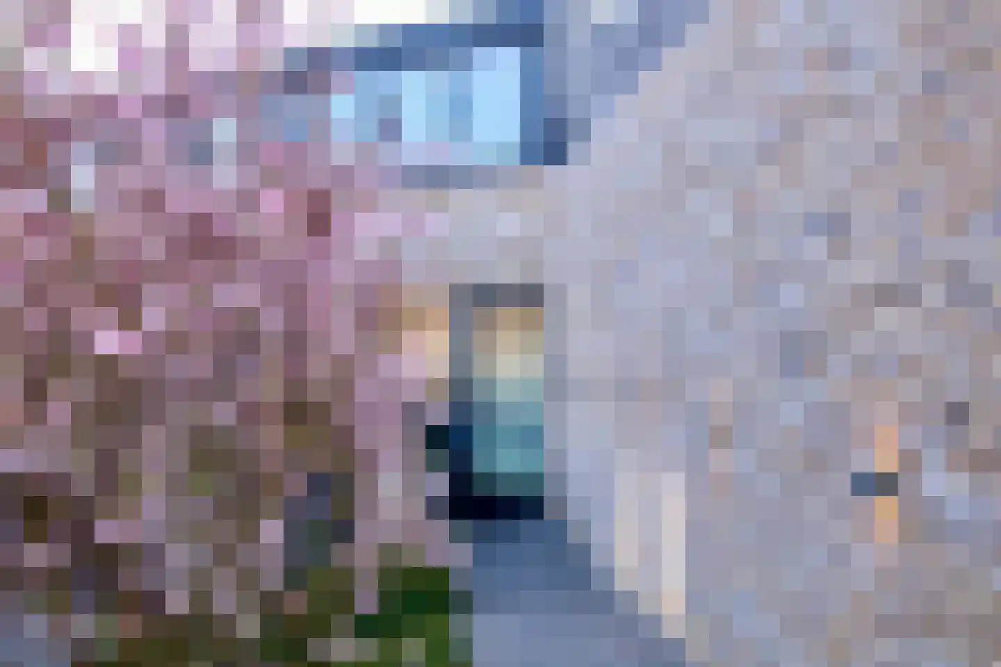 Kersenweide 18 Wittem thumbnail 22