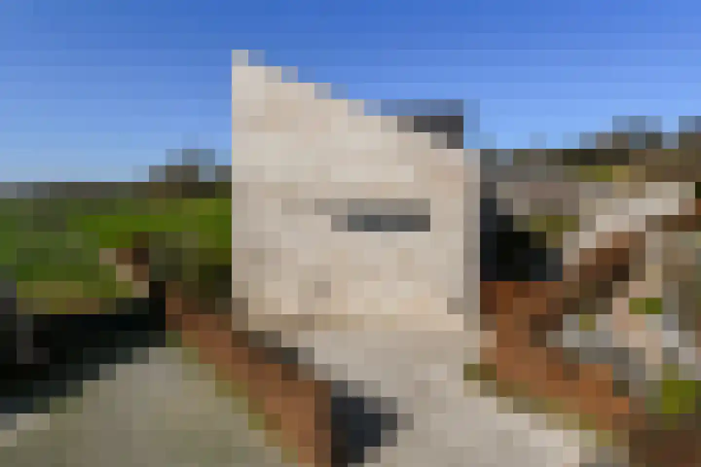 Kersenweide 18 Wittem thumbnail 5
