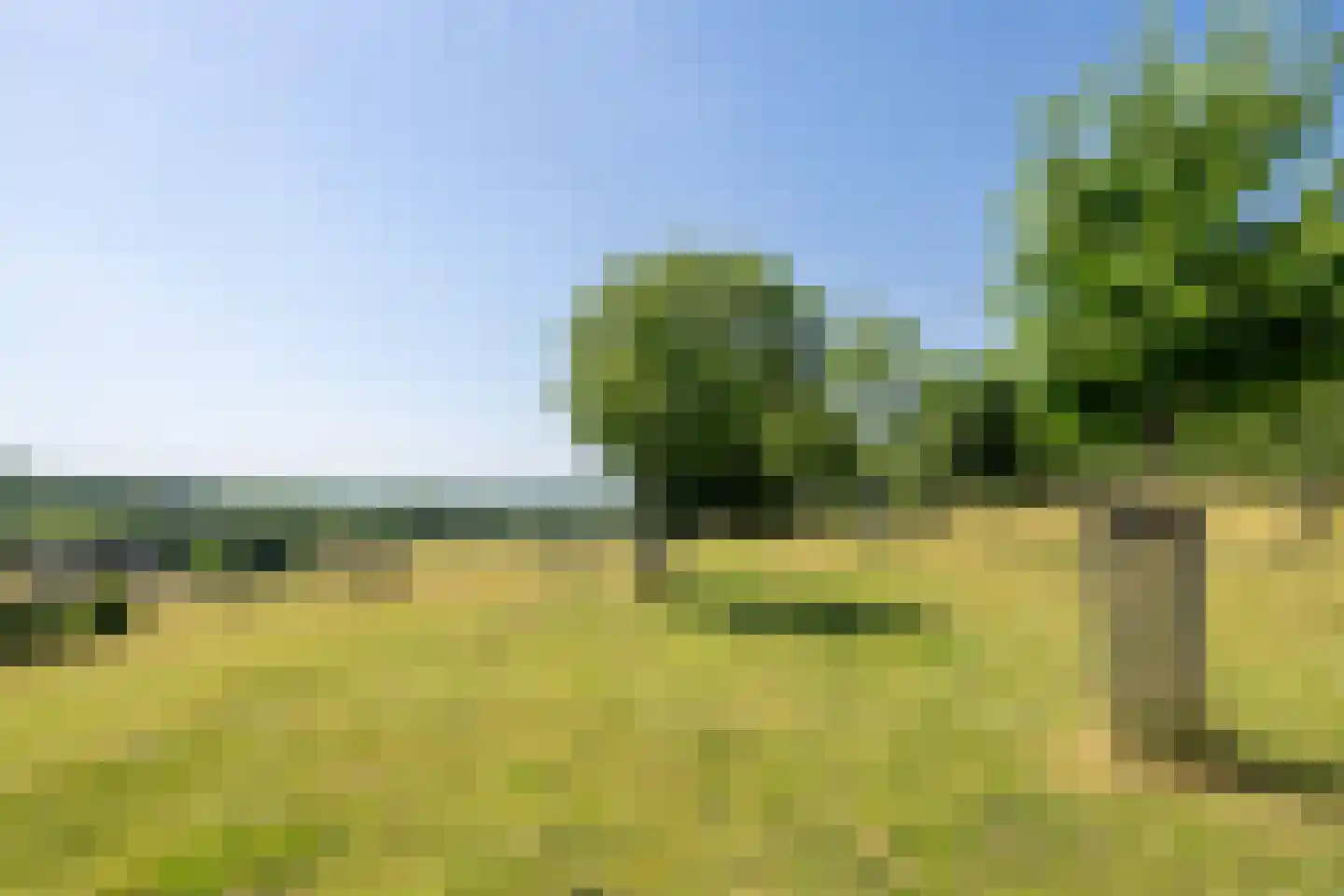 Kersenweide 18 Wittem thumbnail 50