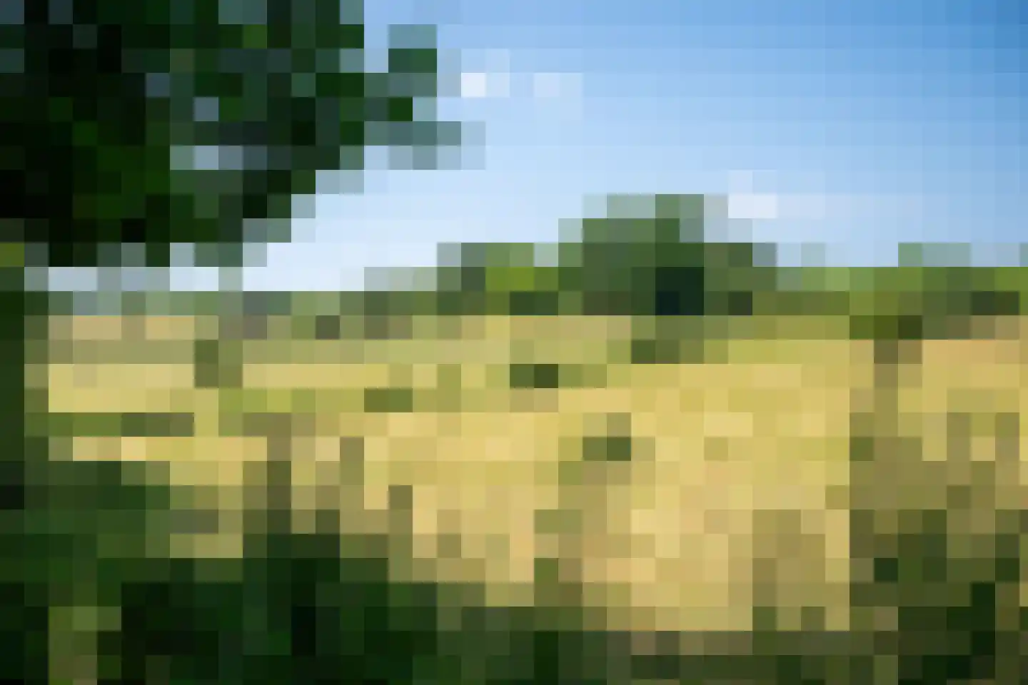 Kersenweide 18 Wittem thumbnail 51