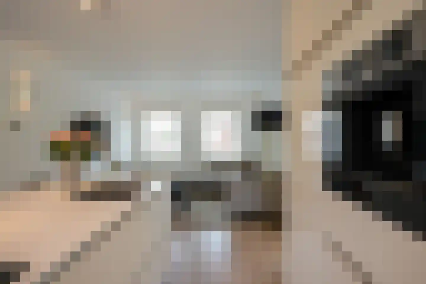 Kersenweide 8 Wittem thumbnail 11