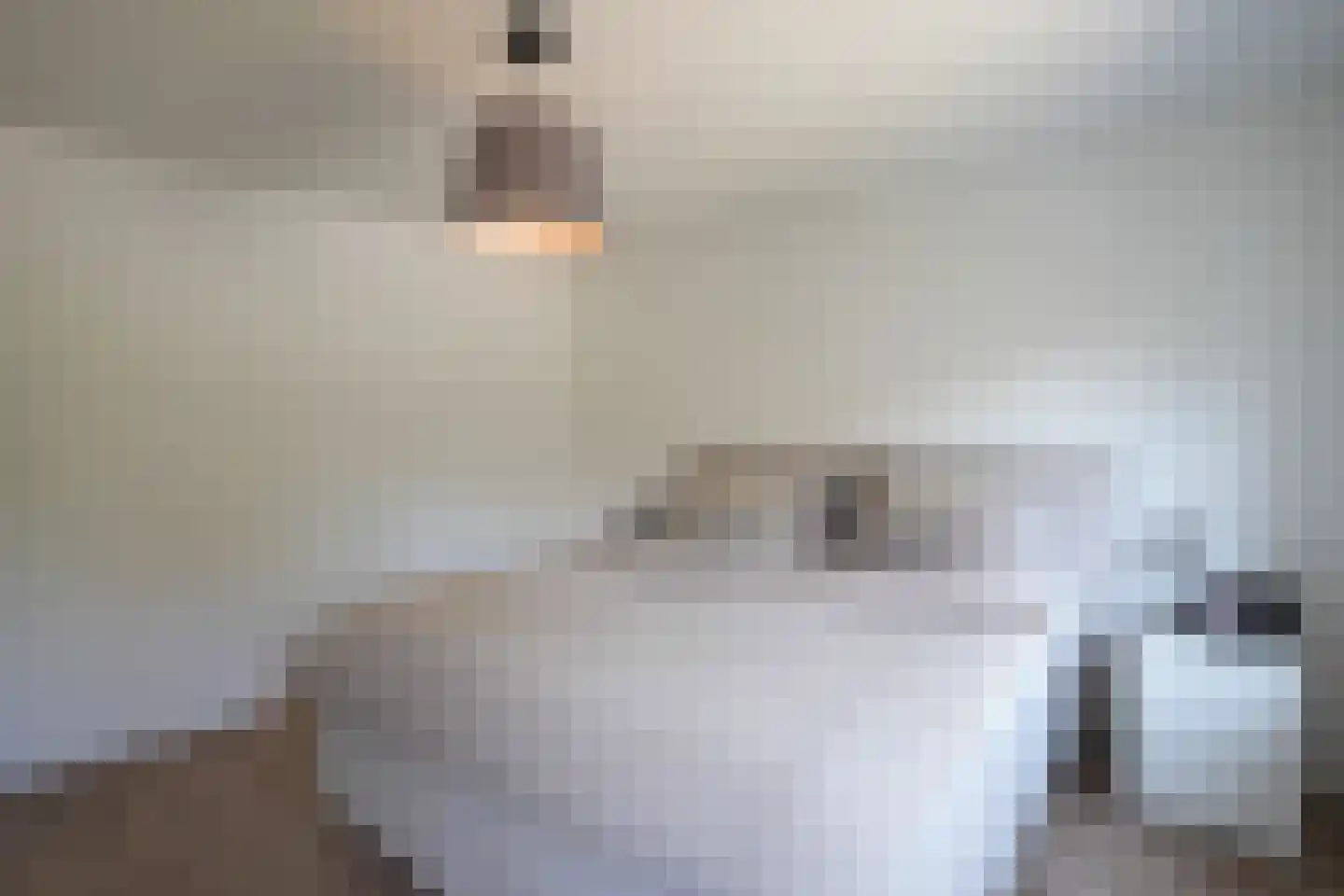 Kersenweide 8 Wittem thumbnail 20