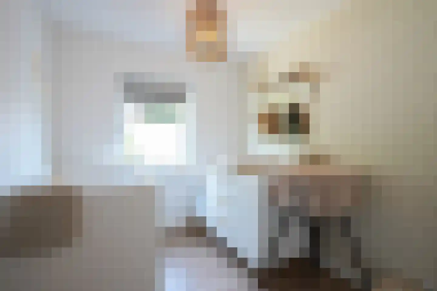 Kersenweide 8 Wittem thumbnail 22