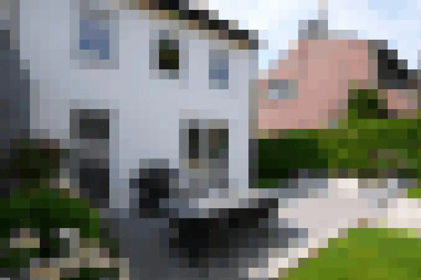 Kersenweide 8 Wittem thumbnail 39