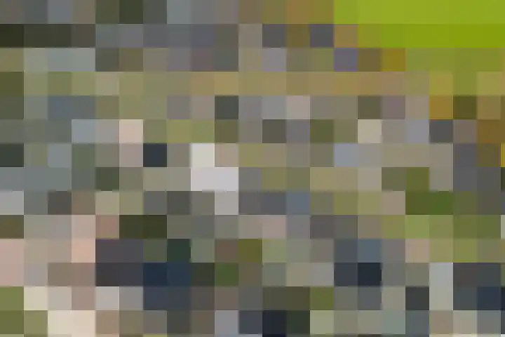 Kershage 62 Vlissingen thumbnail 37