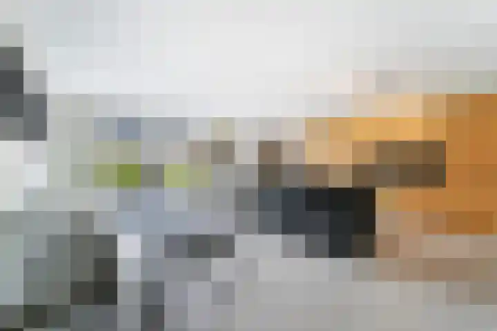 Kershage 62 Vlissingen thumbnail 9