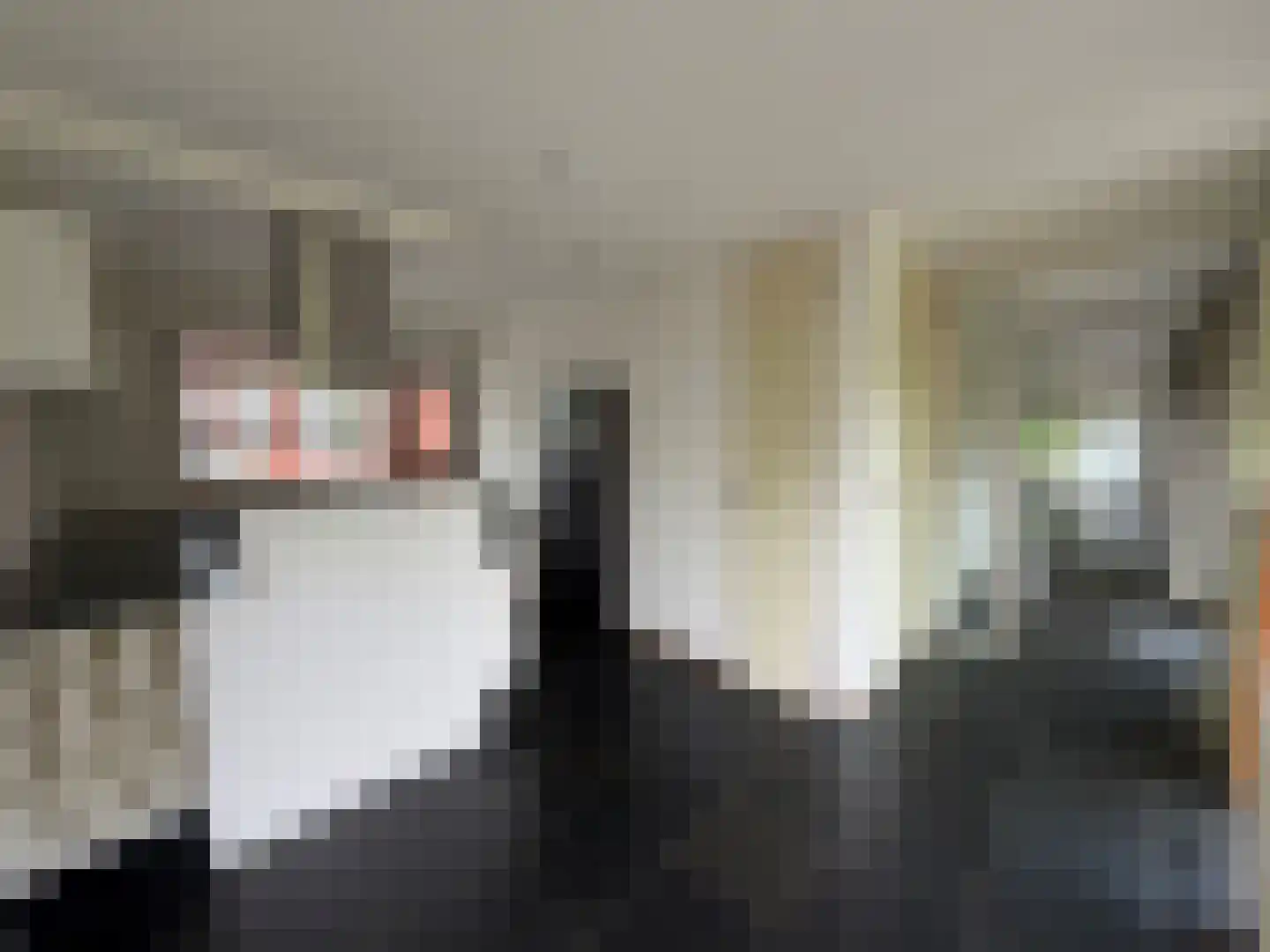 Kershegge 37 Maastricht thumbnail 12