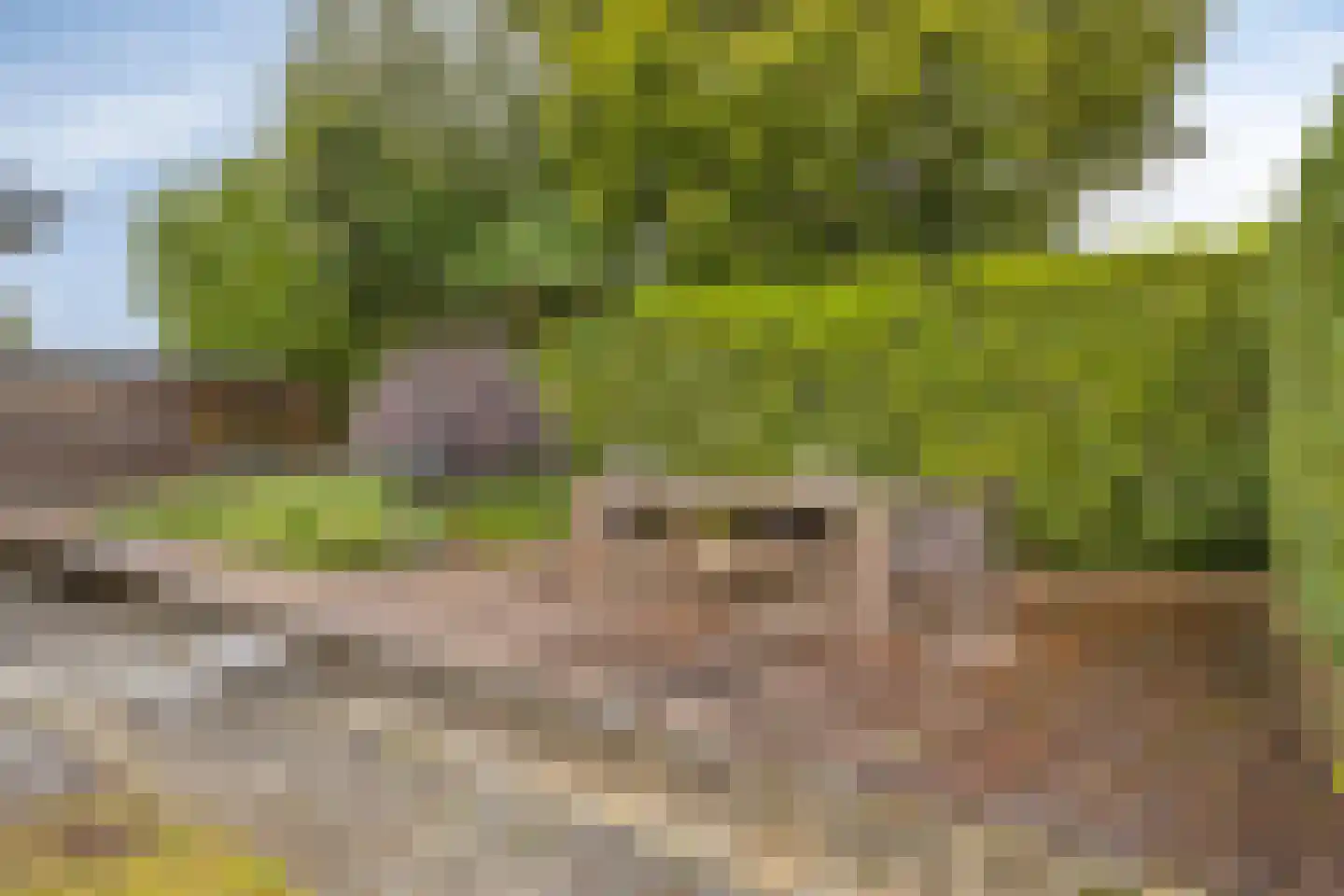 Kershegge 37 Maastricht thumbnail 32