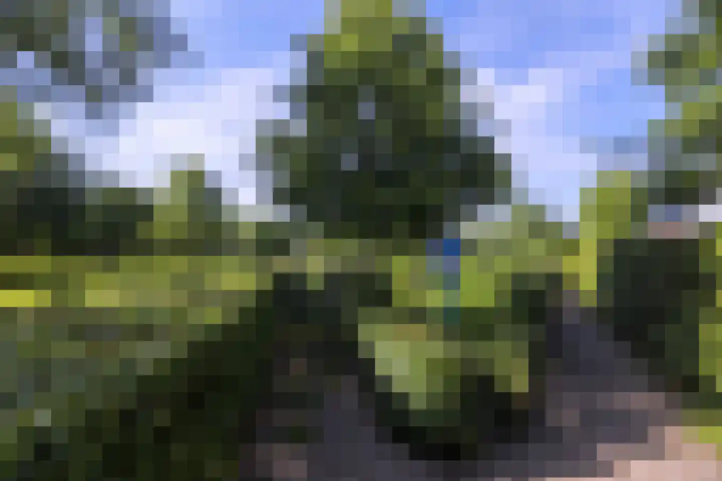 Kershegge 37 Maastricht thumbnail 38