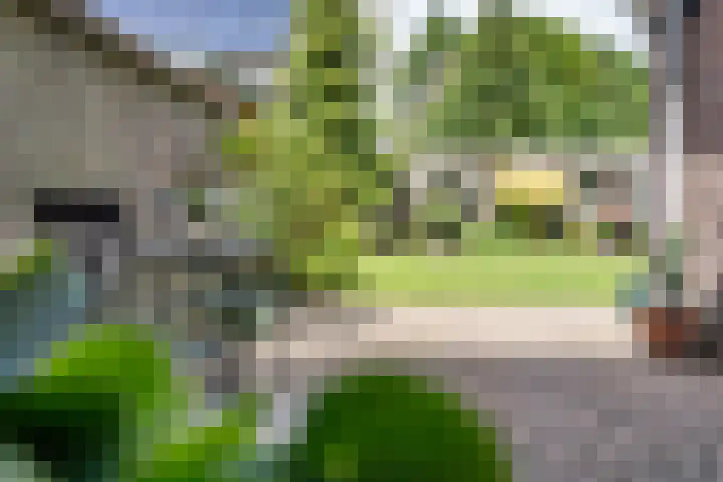 Kershof 19 Bruchem thumbnail 21