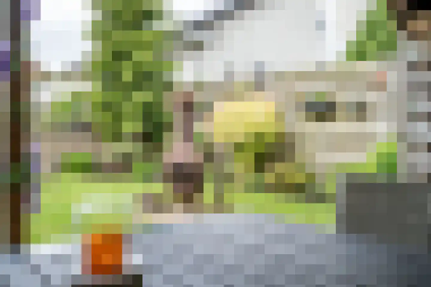 Kershof 19 Bruchem thumbnail 38