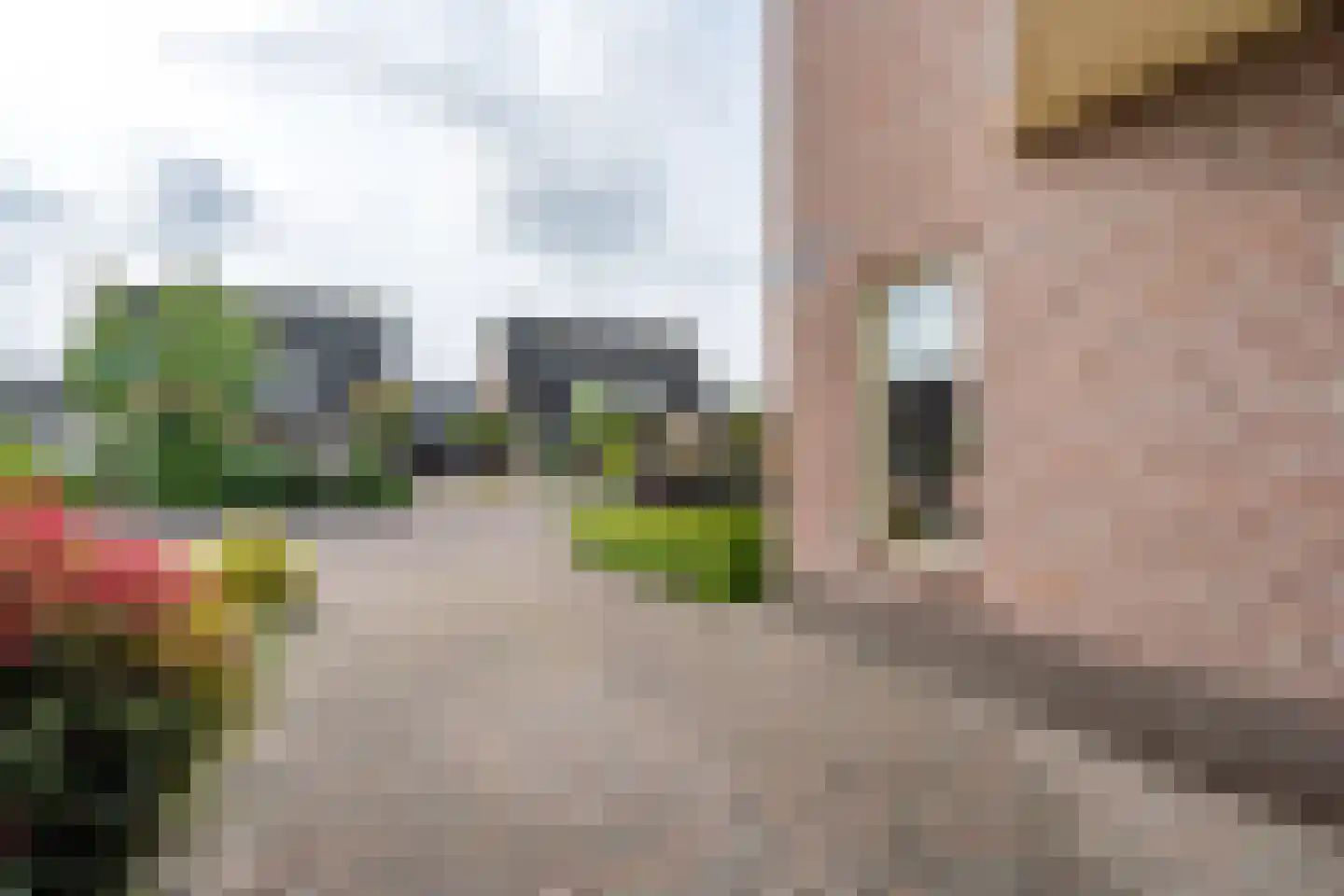Kershof 19 Bruchem thumbnail 9