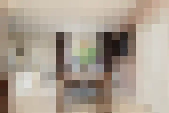 Kerspel 1 Zuidwolde thumbnail 17