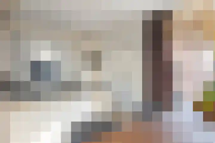 Kerspel 1 Zuidwolde thumbnail 23