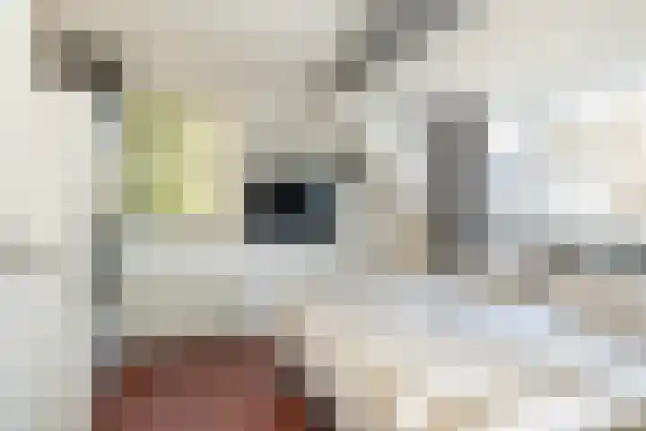 Kerspel 1 Zuidwolde thumbnail 41