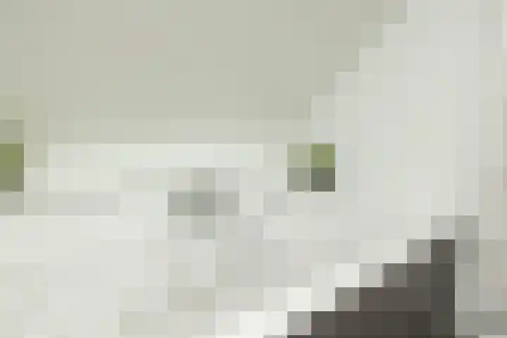 Kerspel 1 Zuidwolde thumbnail 45