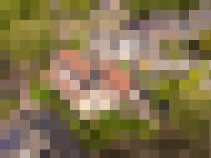 Kerspel 1 Zuidwolde thumbnail 5