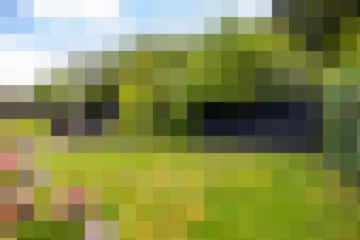 Kerspel 1 Zuidwolde thumbnail 50