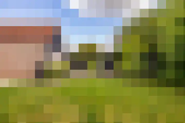 Kerspel 1 Zuidwolde thumbnail 51