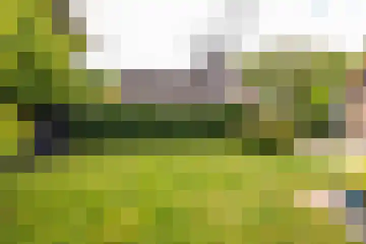 Kerspel 1 Zuidwolde thumbnail 55