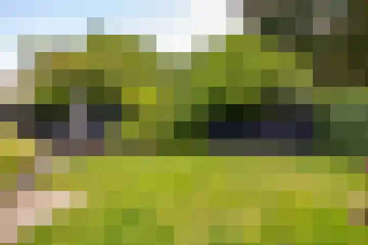 Kerspel 1 Zuidwolde thumbnail 57