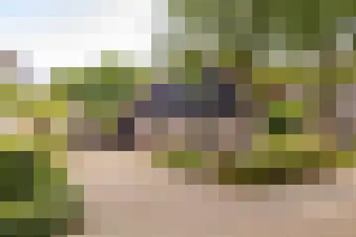 Kerspel 1 Zuidwolde thumbnail 59