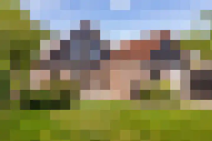 Kerspel 1 Zuidwolde thumbnail 6