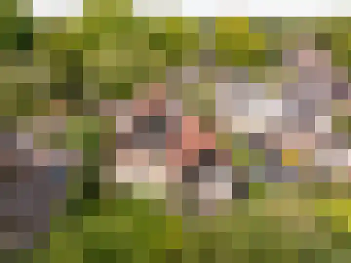 Kerspel 1 Zuidwolde thumbnail 61