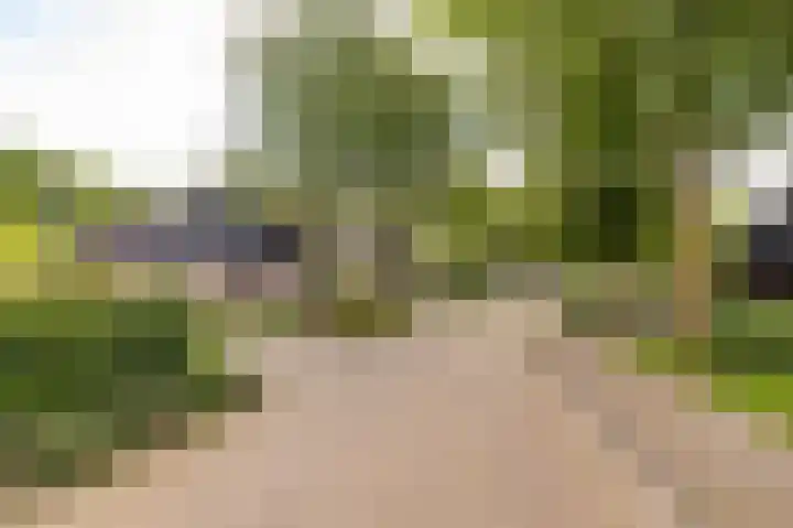 Kerspel 1 Zuidwolde thumbnail 63