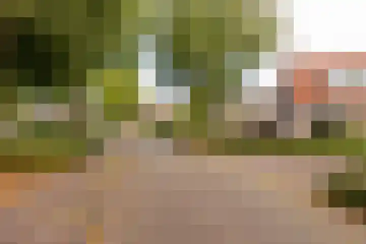 Kerspel 1 Zuidwolde thumbnail 64