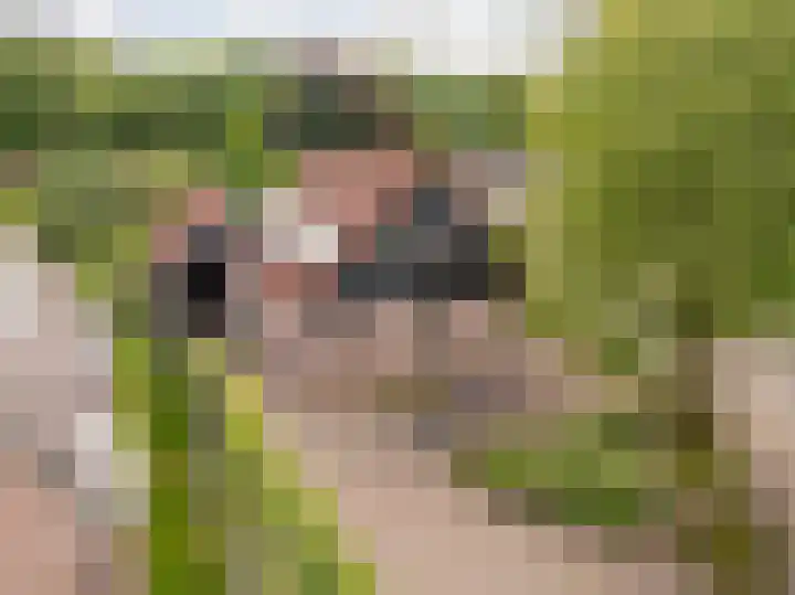 Kerspel 1 Zuidwolde thumbnail 65