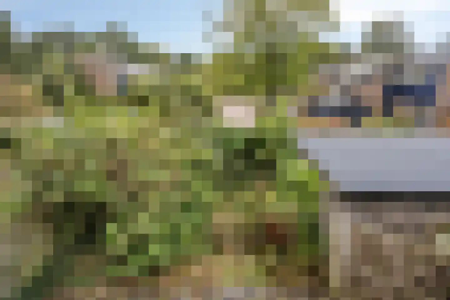 Kerspel 12 Vries thumbnail 33