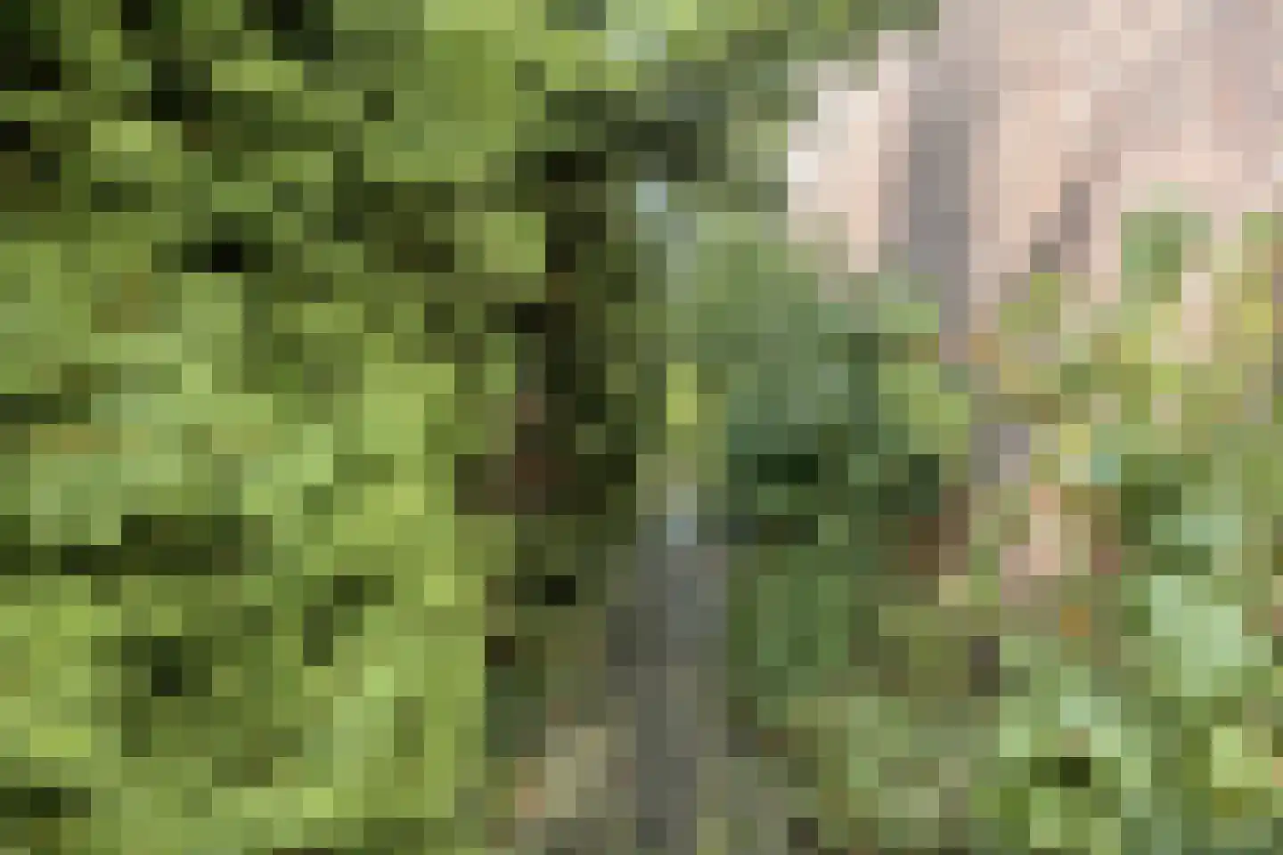 Kerspel 12 Vries thumbnail 39