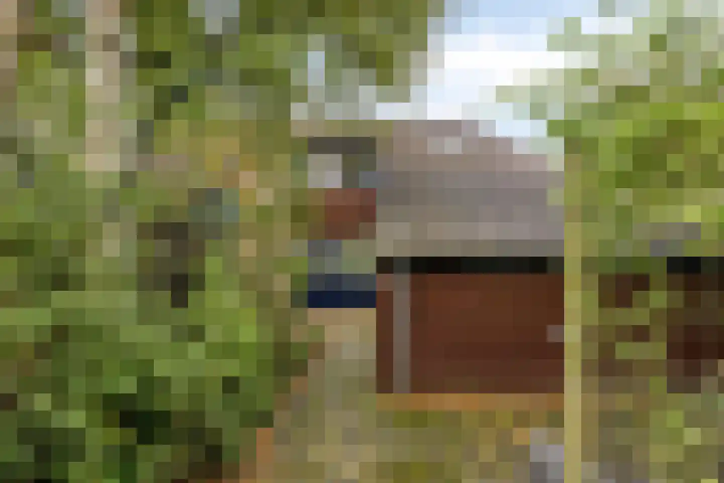 Kerspel 12 Vries thumbnail 4