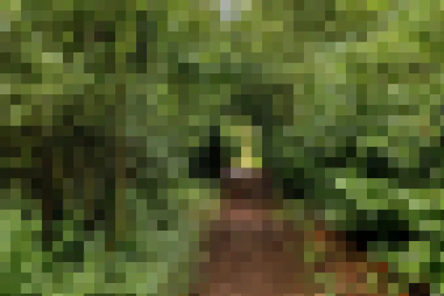 Kerspel 12 Vries thumbnail 41