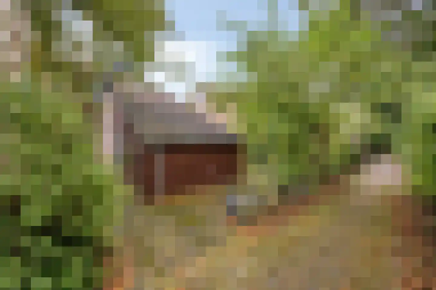 Kerspel 12 Vries thumbnail 42