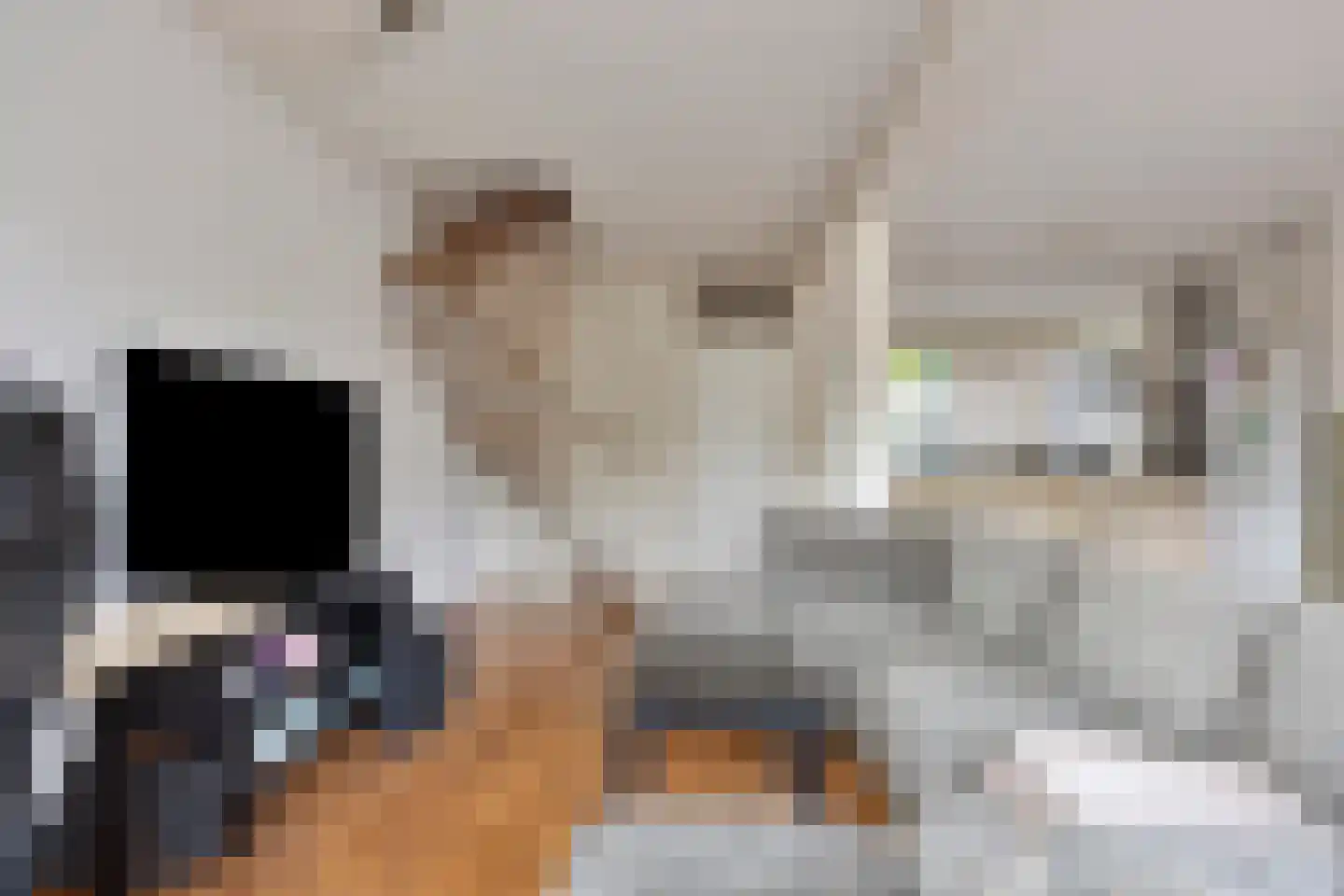 Kerspel 12 Vries thumbnail 7