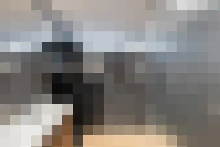 Kerspel 14 Annen thumbnail 22